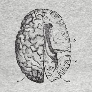 Brain anatomy T-Shirt